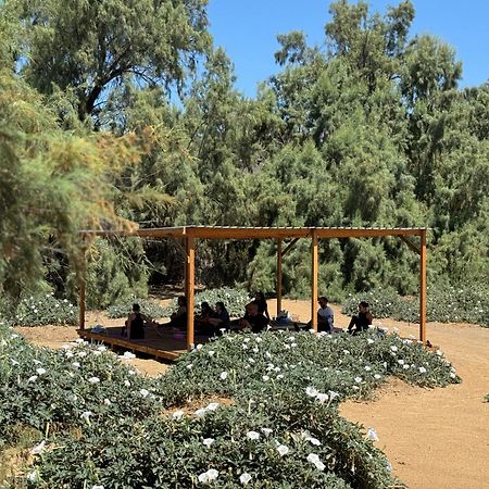 Rancho Dominique Valle De Guadalupe Bagian luar foto
