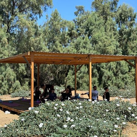 Rancho Dominique Valle De Guadalupe Bagian luar foto