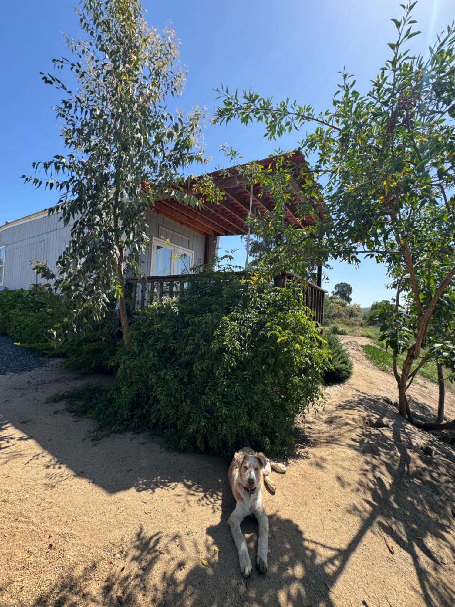 Rancho Dominique Valle De Guadalupe Bagian luar foto
