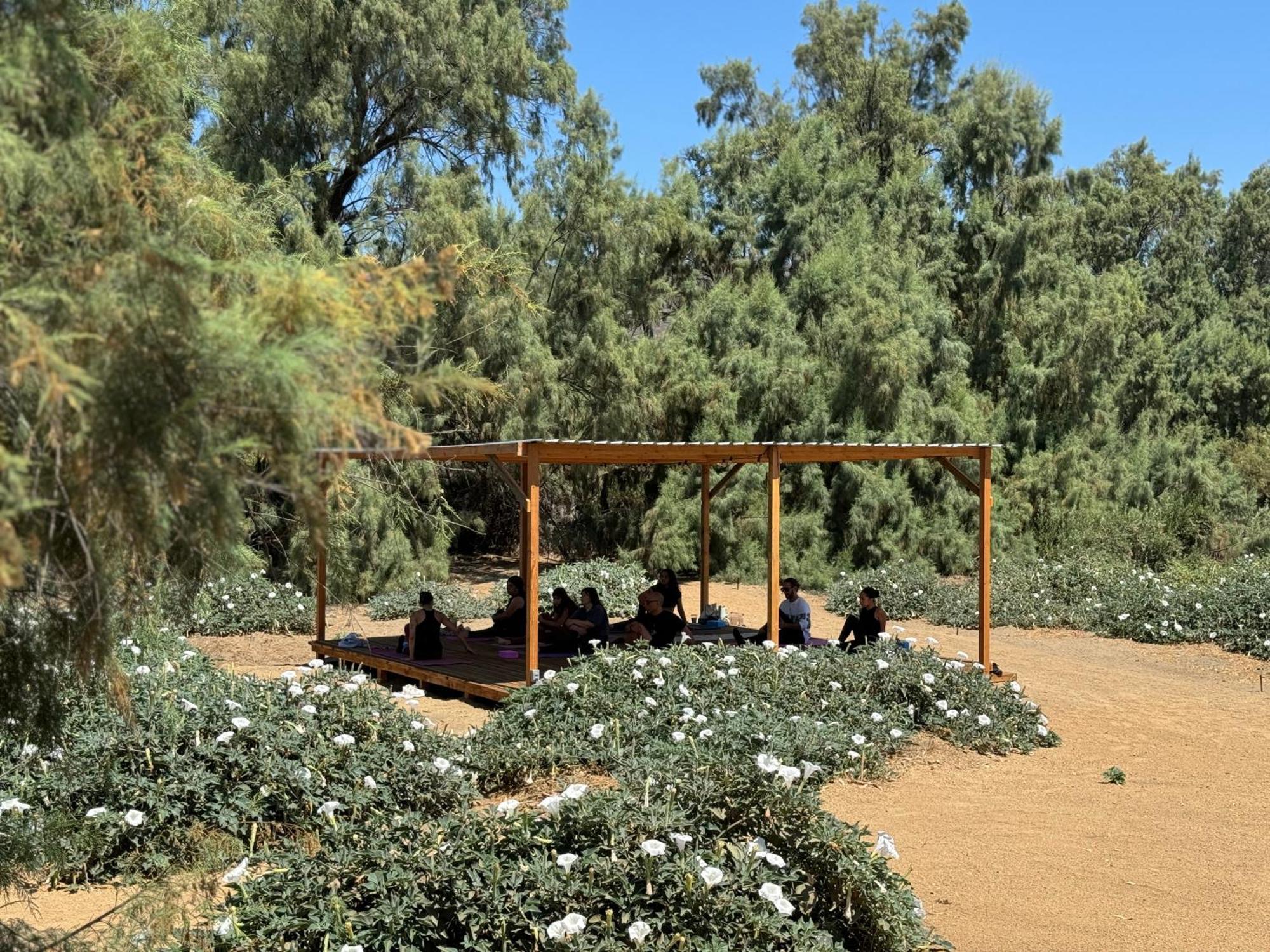 Rancho Dominique Valle De Guadalupe Bagian luar foto