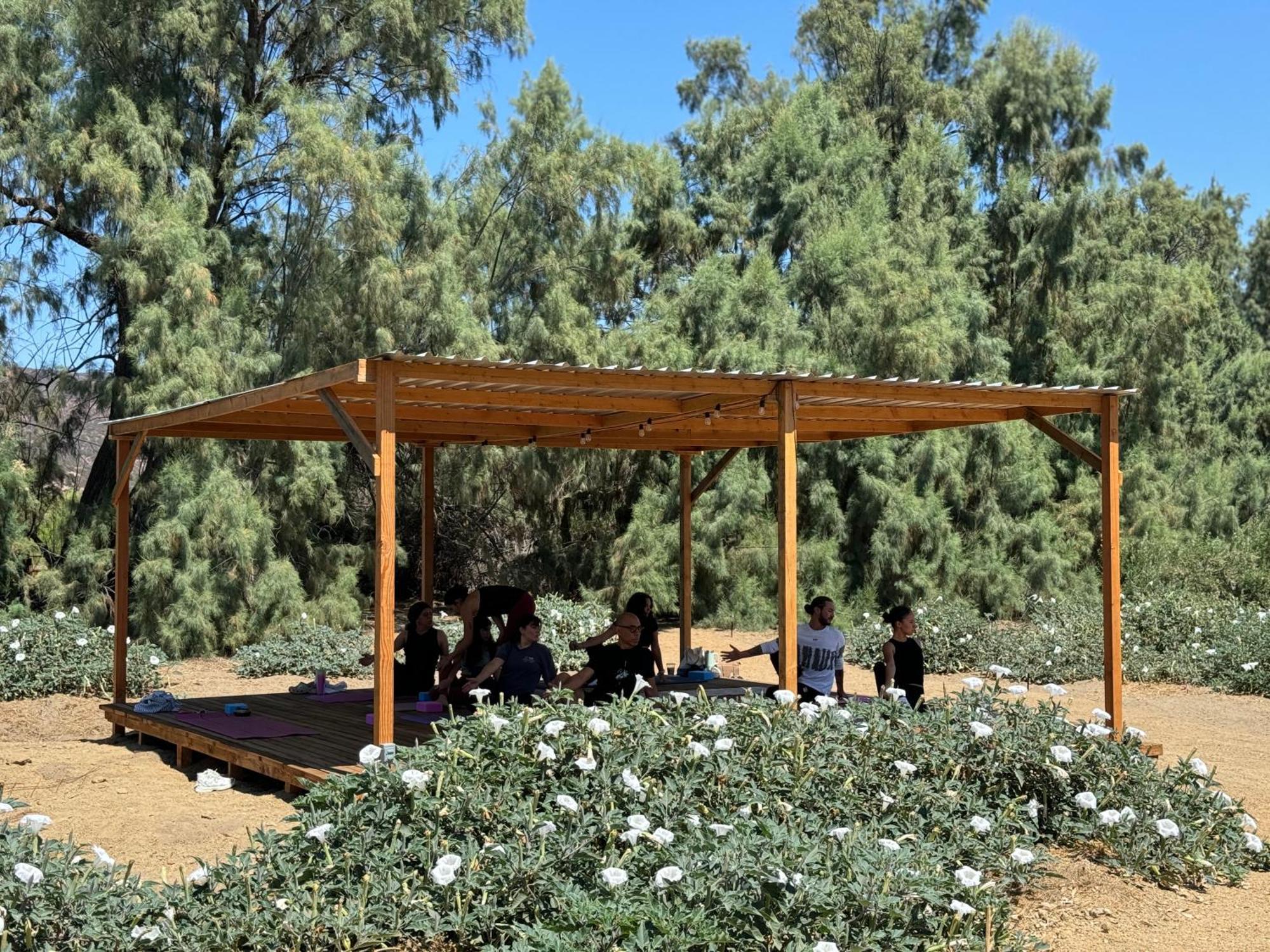 Rancho Dominique Valle De Guadalupe Bagian luar foto